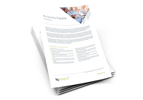 standard accounts payable policies